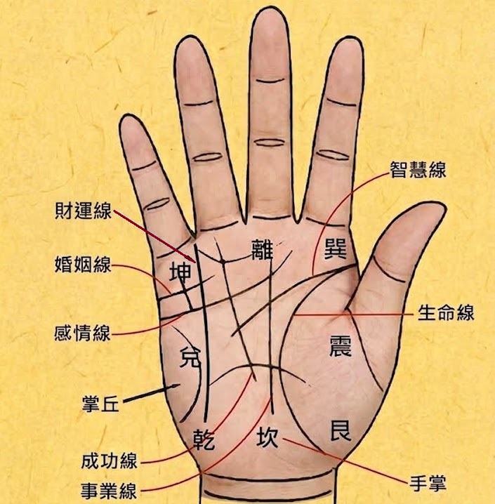 手相七大主線示意圖